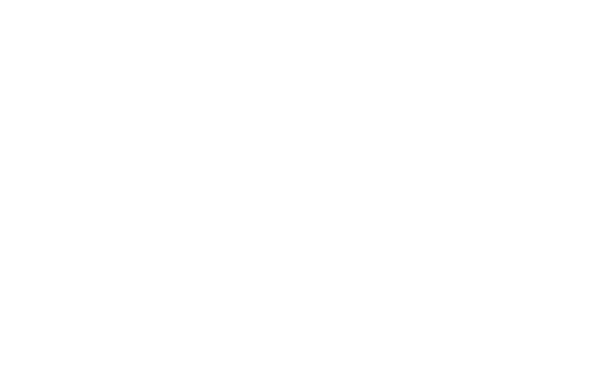 The Athlete Academy light logo